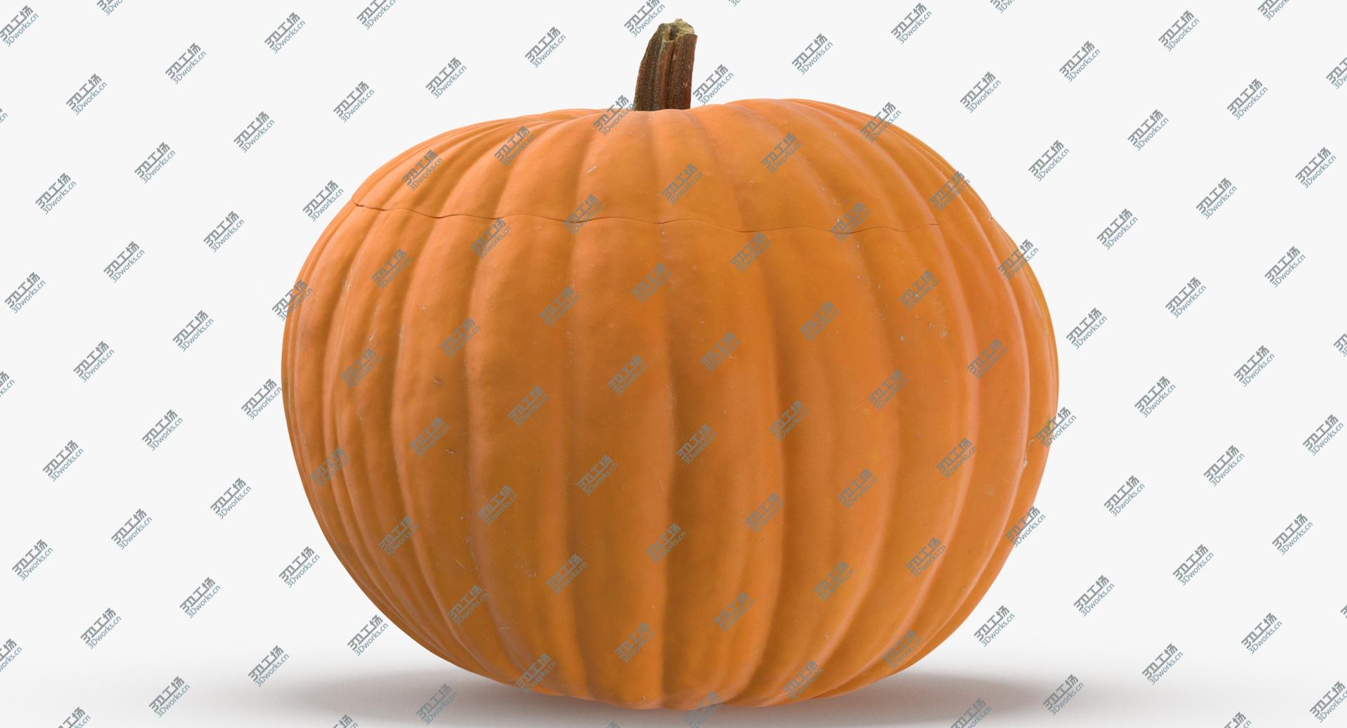images/goods_img/2021040233/Jack o Lantern Pumpkin with Carved Face 02(1) 3D model/5.jpg